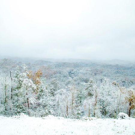 ガトリンバーグ Leconte Mountain Breezeヴィラ エクステリア 写真