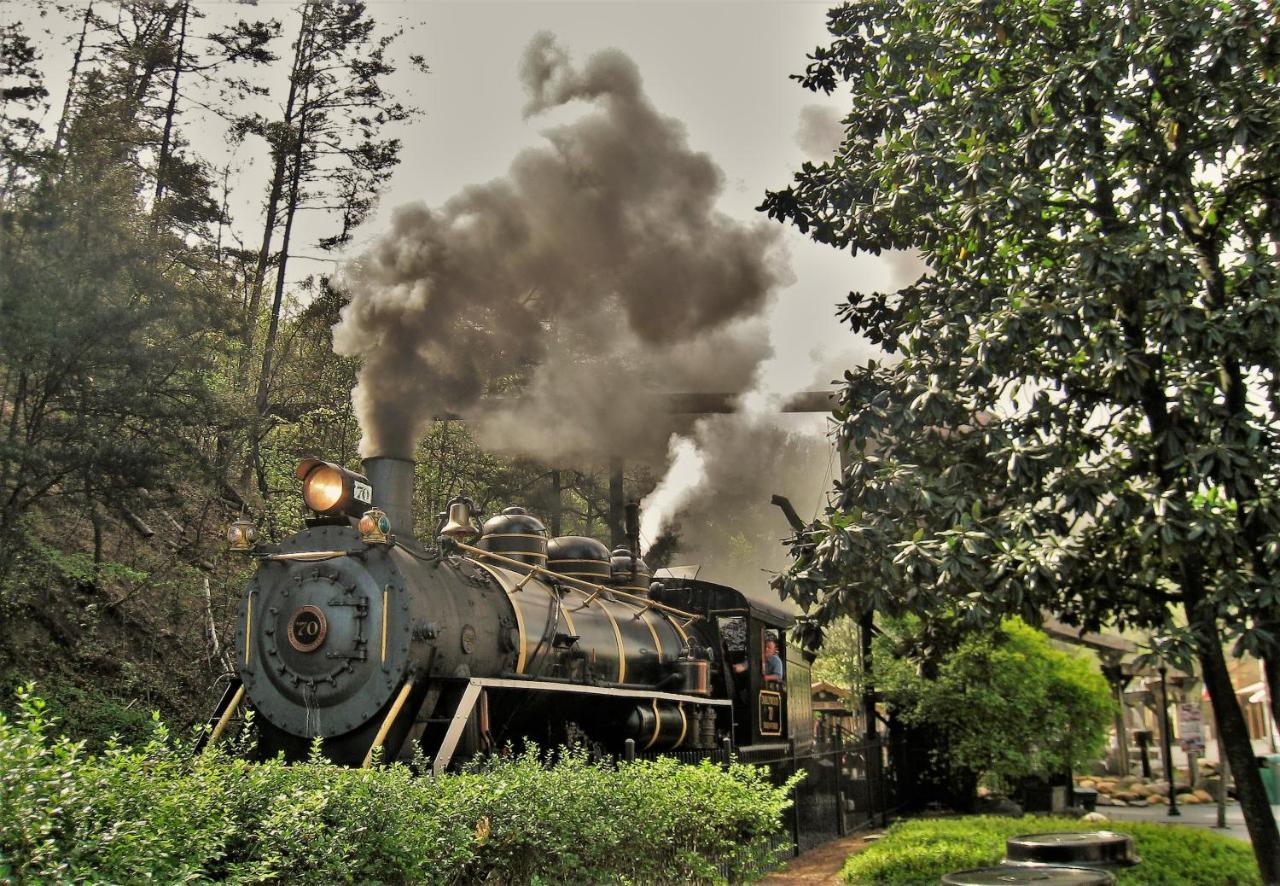 ガトリンバーグ Leconte Mountain Breezeヴィラ エクステリア 写真