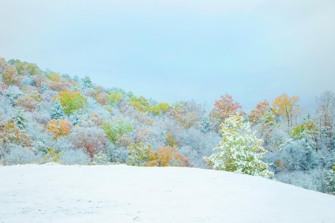 ガトリンバーグ Leconte Mountain Breezeヴィラ エクステリア 写真