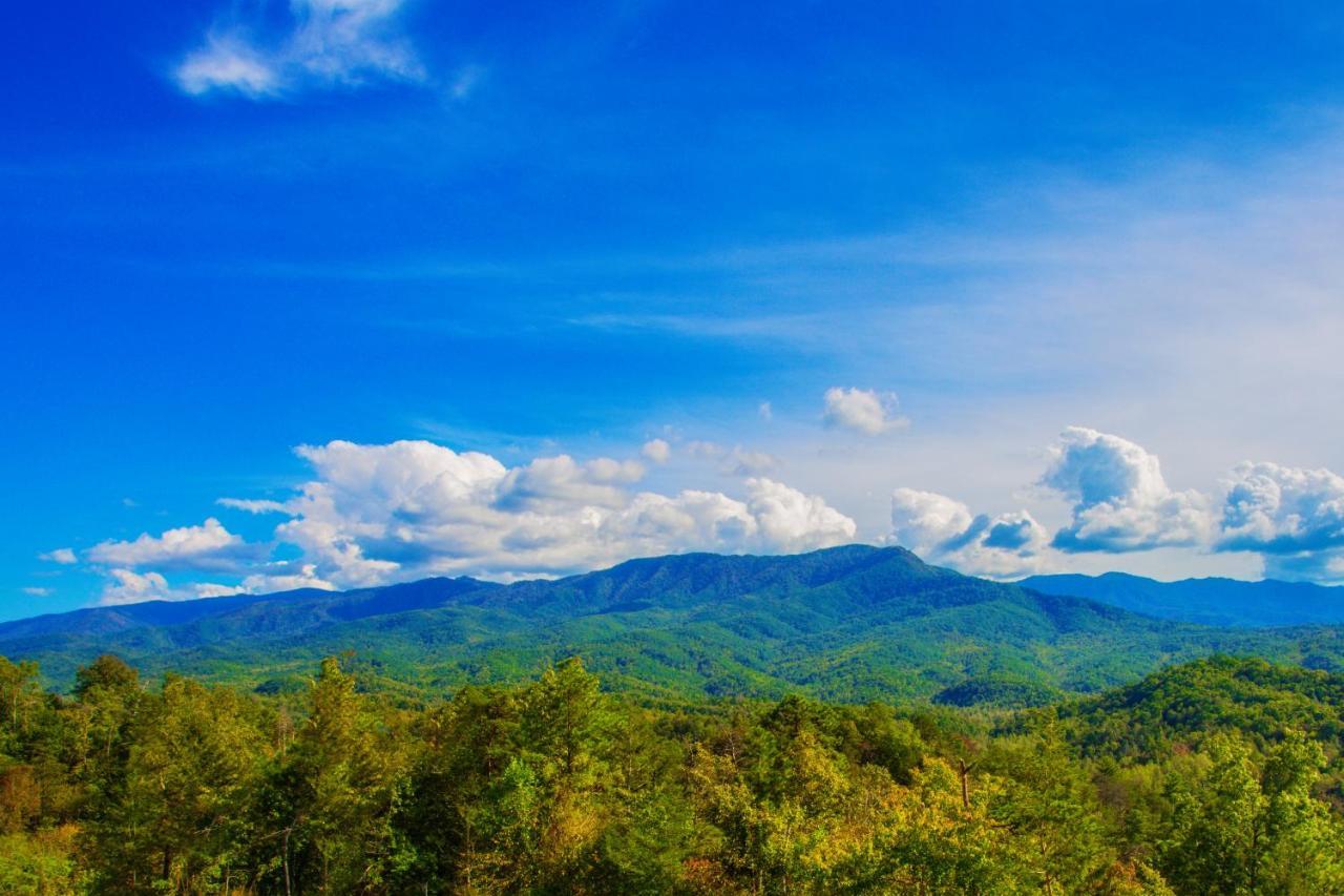 ガトリンバーグ Leconte Mountain Breezeヴィラ エクステリア 写真