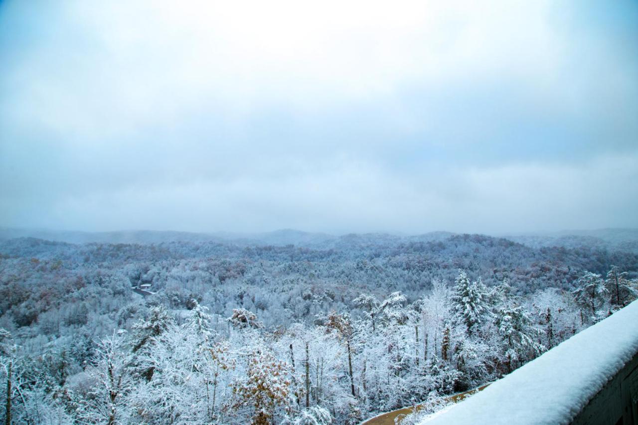 ガトリンバーグ Leconte Mountain Breezeヴィラ エクステリア 写真