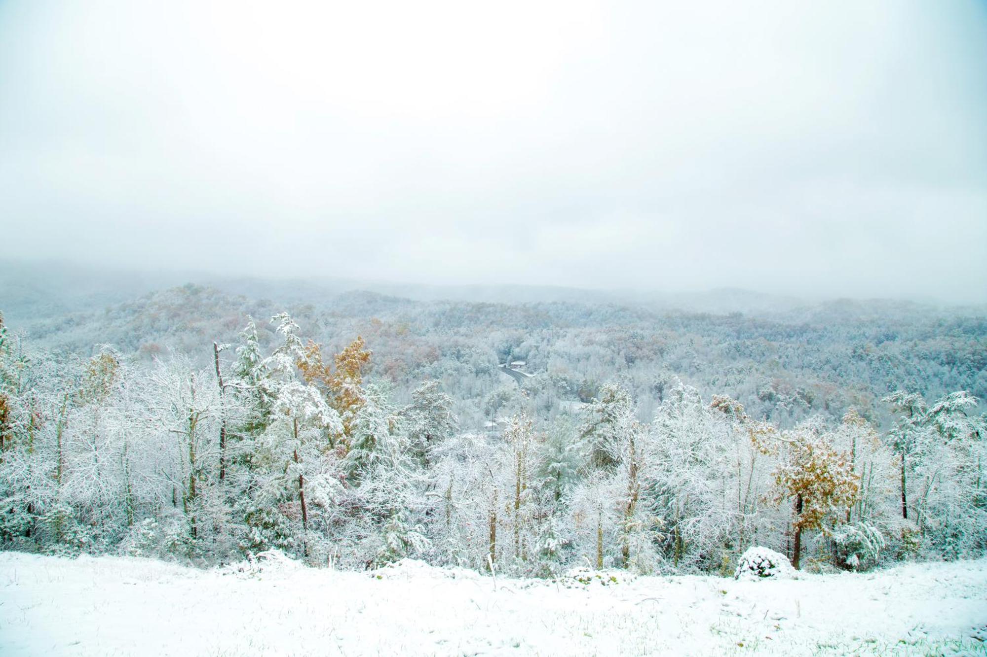 ガトリンバーグ Leconte Mountain Breezeヴィラ エクステリア 写真